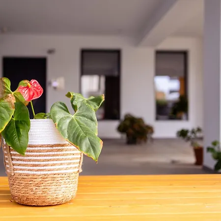 Apartmán Pagani Blue - Luxury Maisonette A1 *